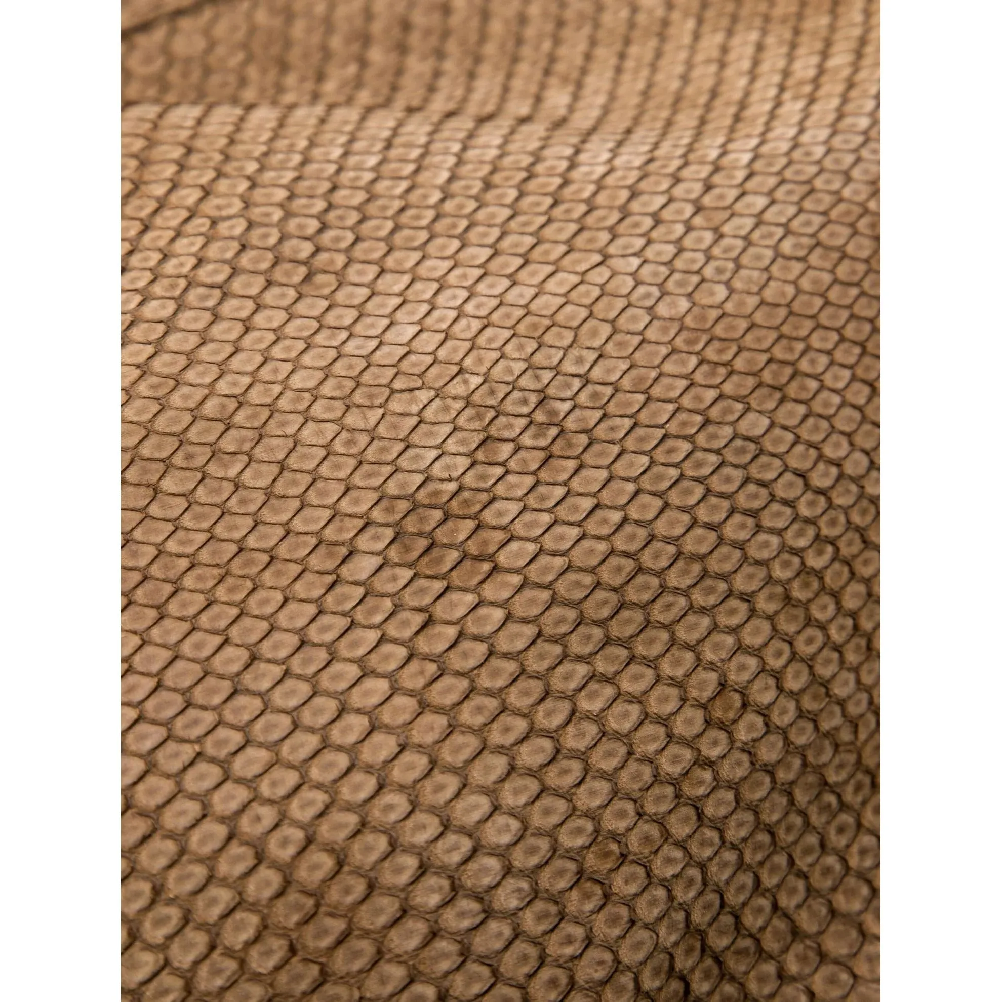 Gucci Jackie golden python hobo w gold hardware