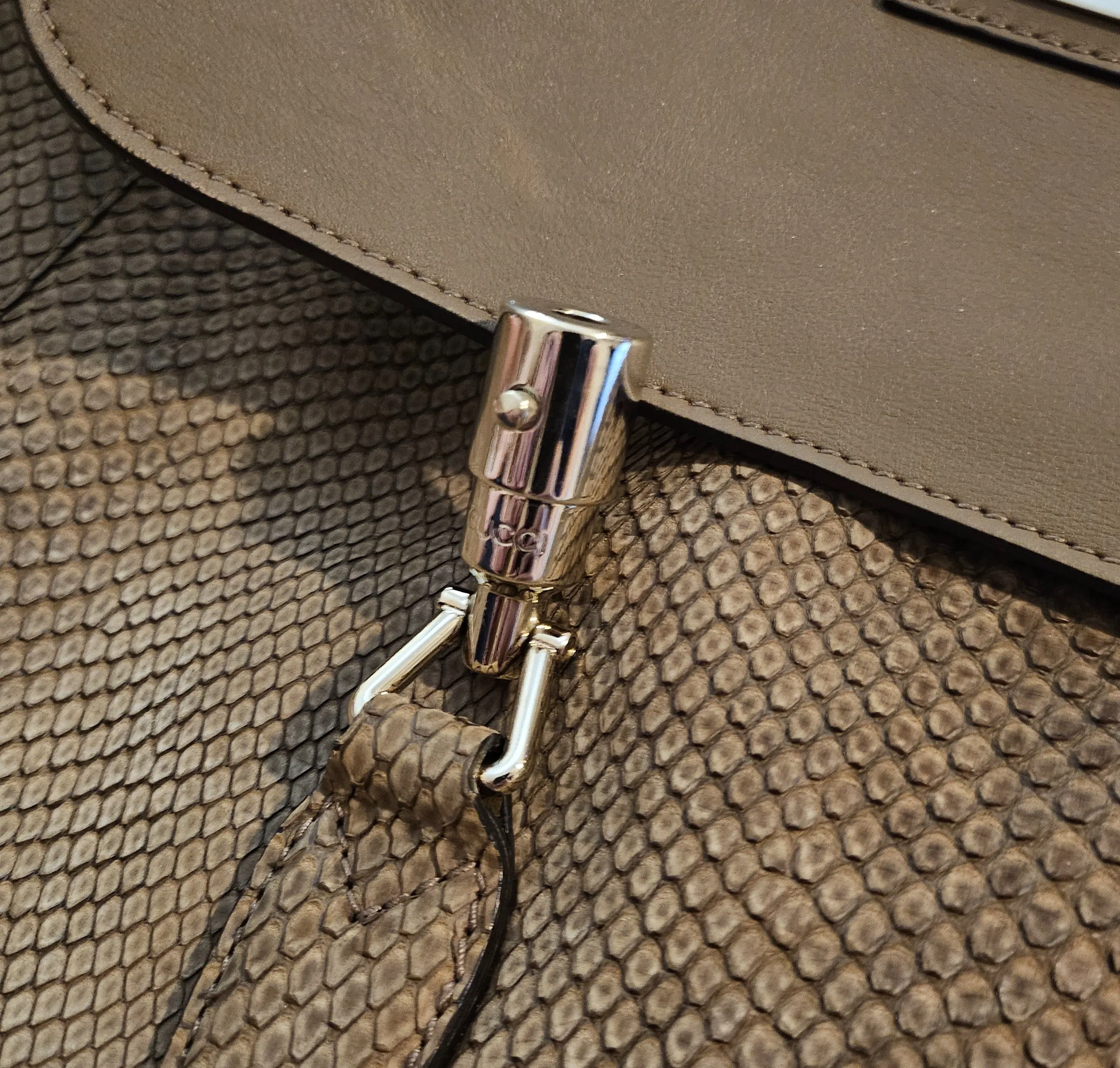 Gucci Jackie golden python hobo w gold hardware